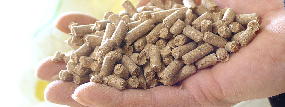 Faaprítás végtermék: pellet, pelletálás Faaprítás végtermék: pellet, pelletálás