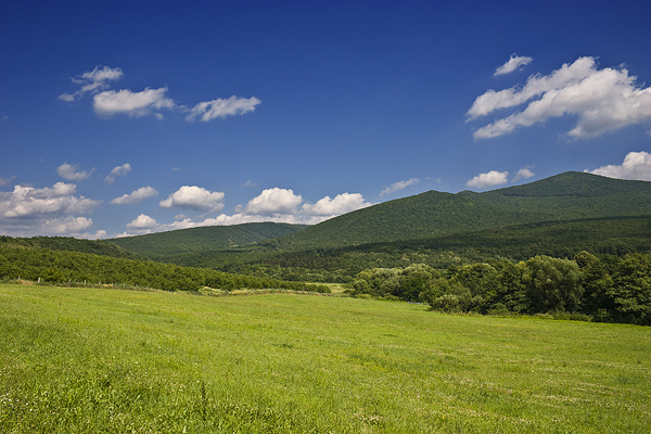 A Zempléni-hegység lankái